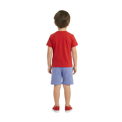 Birds in Flight Nature Graphic Tee & Contrast Shorts Set